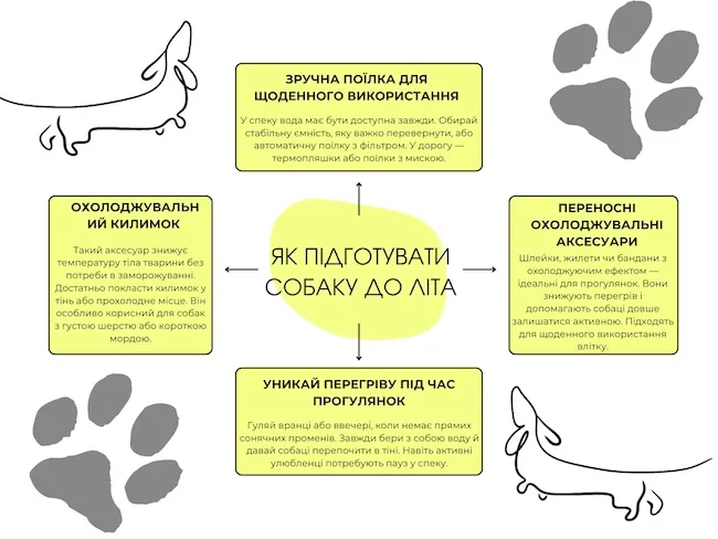 Навіщо собаці охолодження влітку