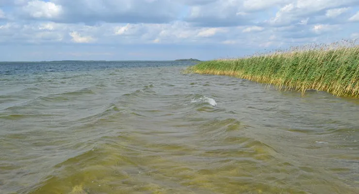 Озеро Світязь Озеро Світязь