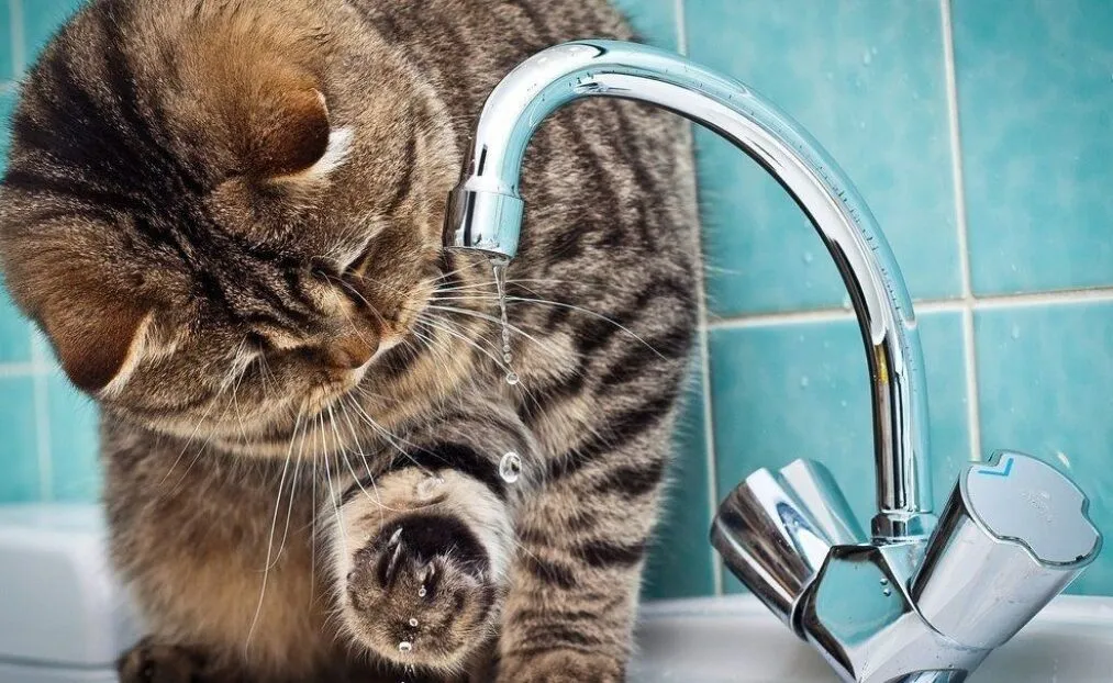 Відключення води Відключення води