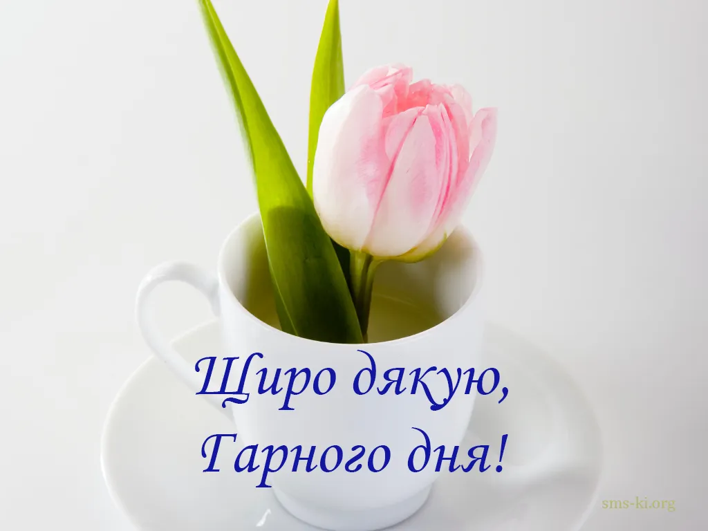 Дякую за привітання