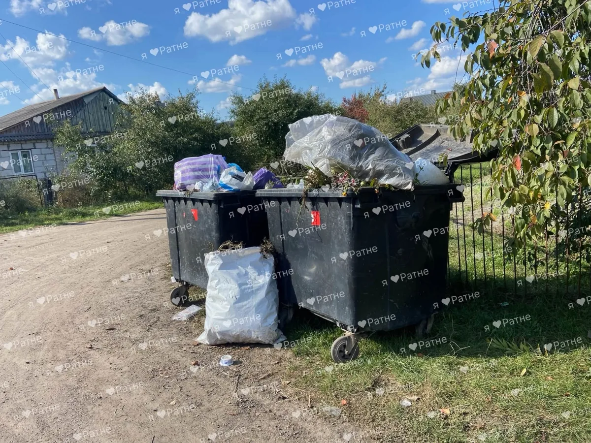 На Волині собаки розтягують пакети зі сміттям через переповнені баки