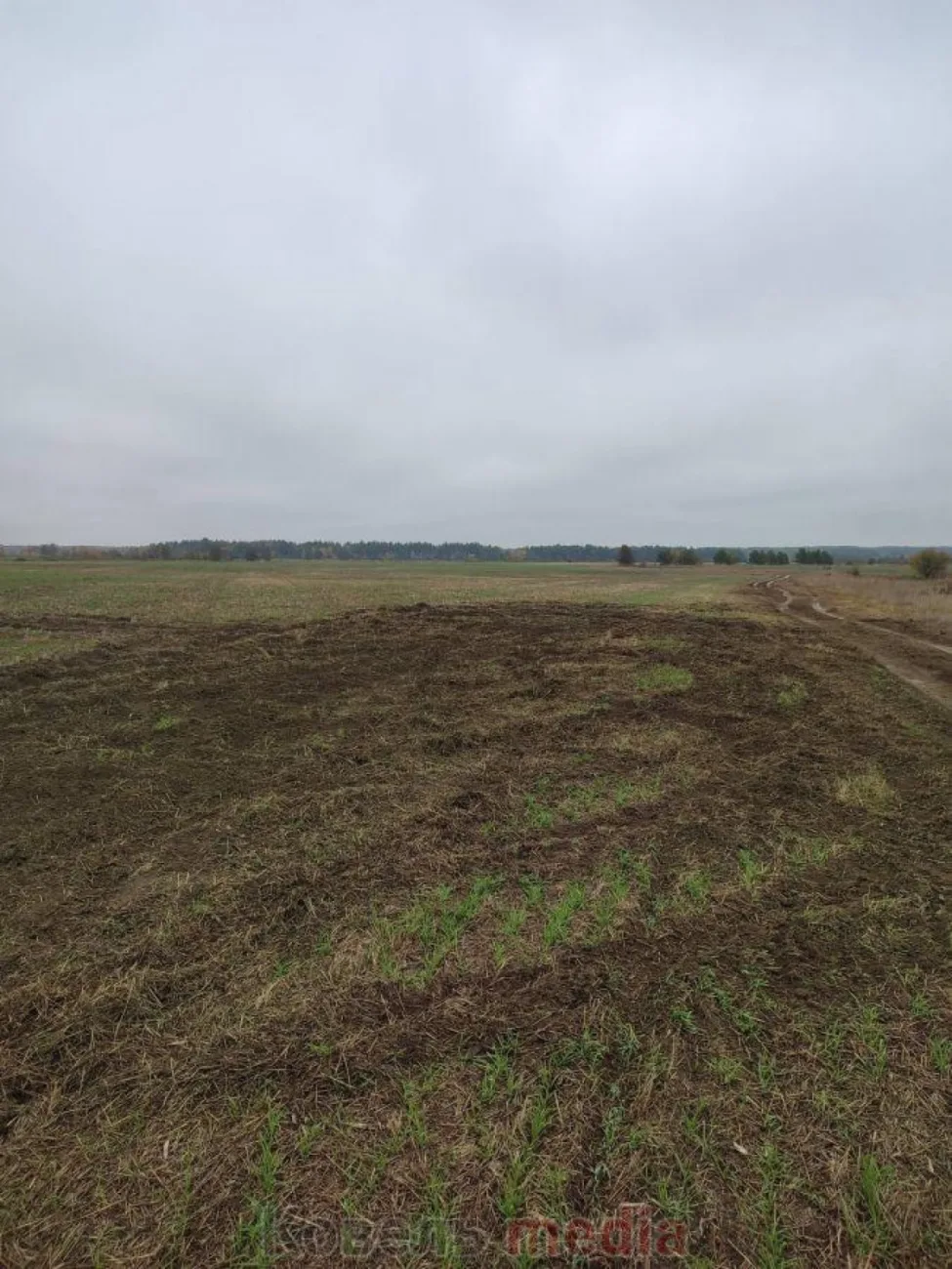 На Волині невідомі знищили посіви