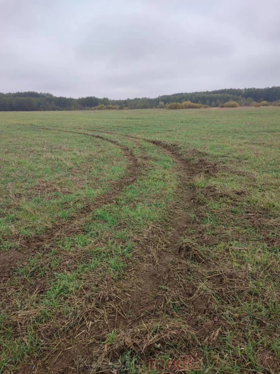 На Волині невідомі знищили посіви